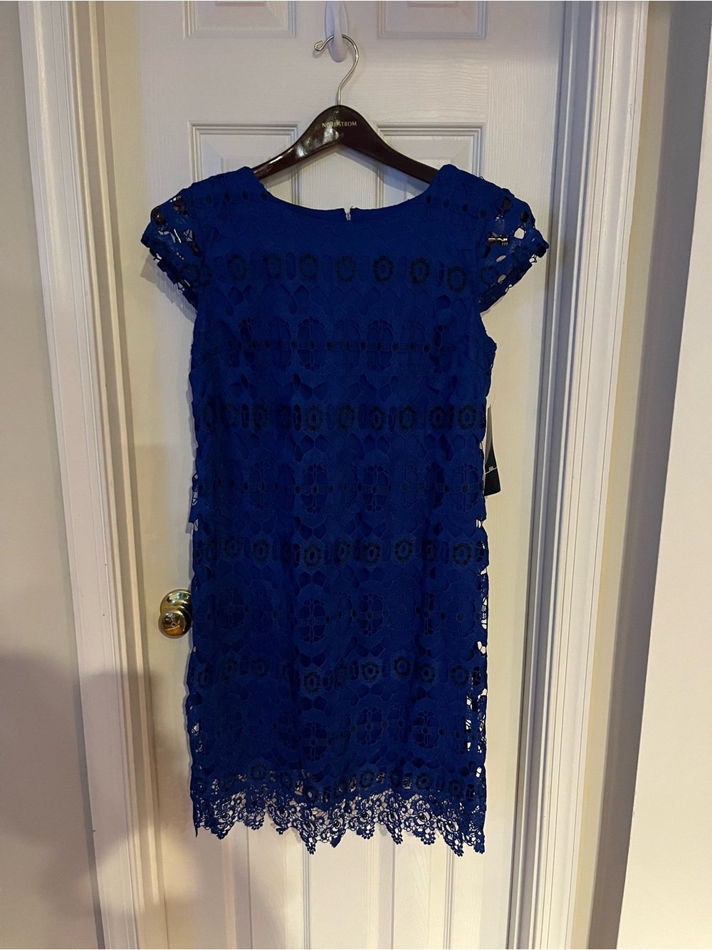 R&K Royal Blue Lace Shift Dress